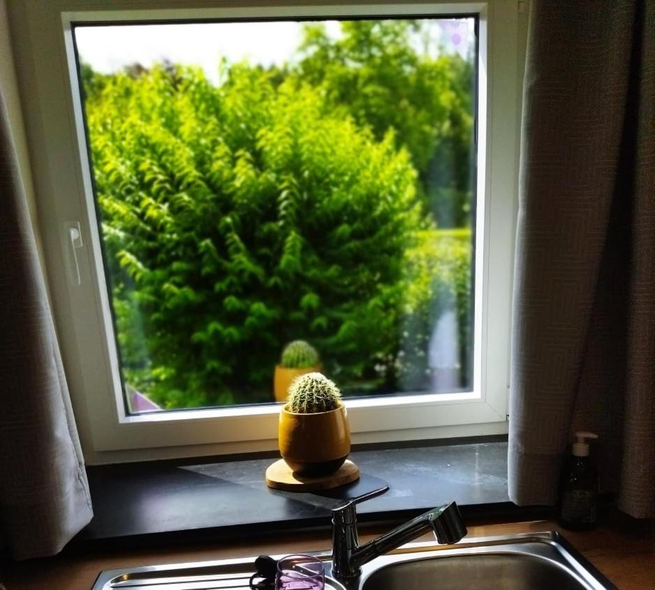 Le Clos Des 3 - Vacances Avec Vue En Ardennes A 5 Kilometres De La Roche - Maison De 90 M2 Avec Chambres - Avec Magnifique Jardin Rendeux Ngoại thất bức ảnh