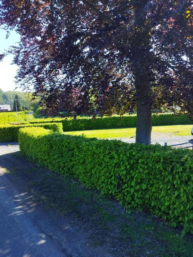 Le Clos Des 3 - Vacances Avec Vue En Ardennes A 5 Kilometres De La Roche - Maison De 90 M2 Avec Chambres - Avec Magnifique Jardin Rendeux Ngoại thất bức ảnh